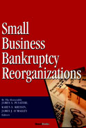 Small Business Bankruptcy Reorganizations